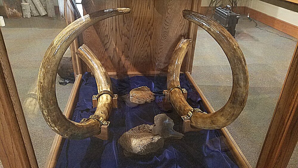 “Leaducating The Unleaducated” since 2012